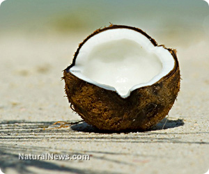 Coconut-Open-Fruit-