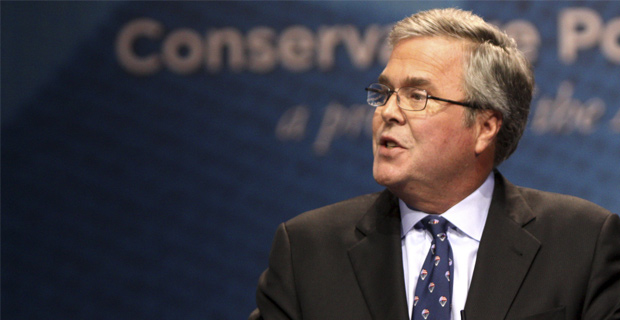 jeb bush