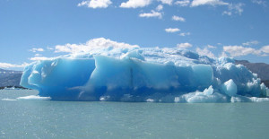 arctic
