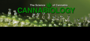 cannabiology_splash