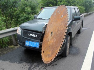 Rex-china-car-blade