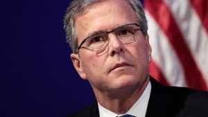 jeb
