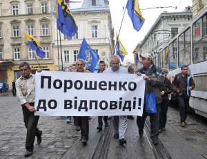 2650103 06/24/2015 Participants in the rally for "transparent fees" and resignation of Arseniy Yatsenyuk Government in Lvov. Stringer/RIA Novosti