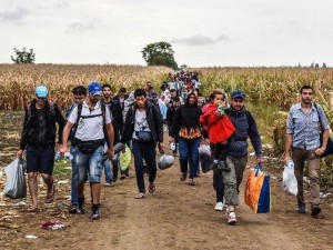 Migrants-Serbia-Croatia-AFP-640x480