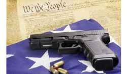 gun_constitution