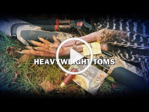 Heavyweight Toms (TEASER)